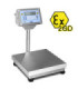 Easy Pesa 2GD — balança de bancada ATEX — vista 1